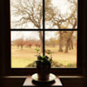 Meet your Posher, Kelsie